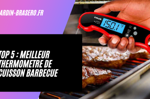 Top 5 : meilleur thermometre de cuisson barbecue