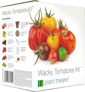 Kit graines Tomates 6 variétés